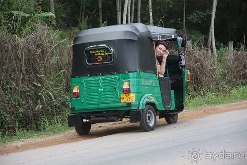 Горловка — Шри-Ланка