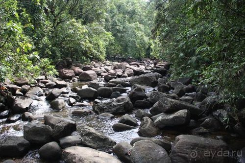 Горловка — Шри-Ланка