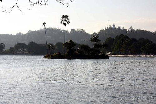 Горловка — Шри-Ланка