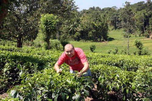 Горловка — Шри-Ланка