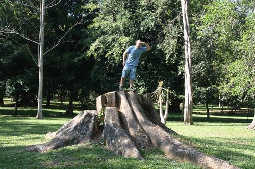 Горловка — Шри-Ланка