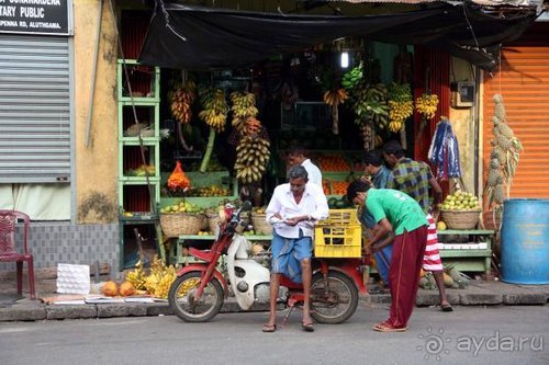 Горловка — Шри-Ланка