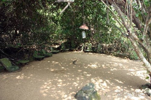 Горловка — Шри-Ланка