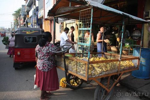 Горловка — Шри-Ланка