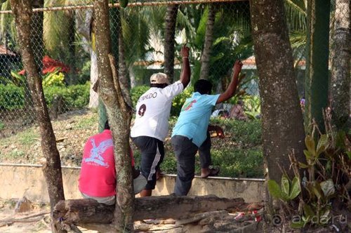 Горловка — Шри-Ланка