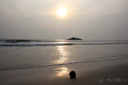 Горловка — Шри-Ланка