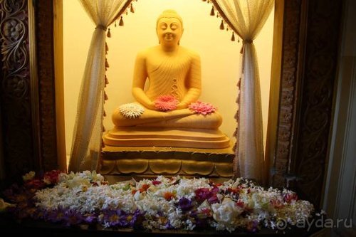 Горловка — Шри-Ланка