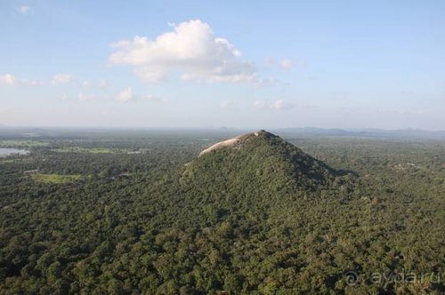 Горловка — Шри-Ланка