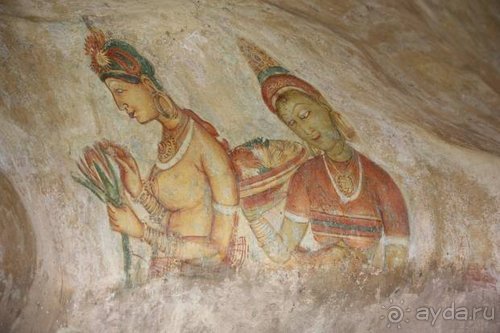 Горловка — Шри-Ланка