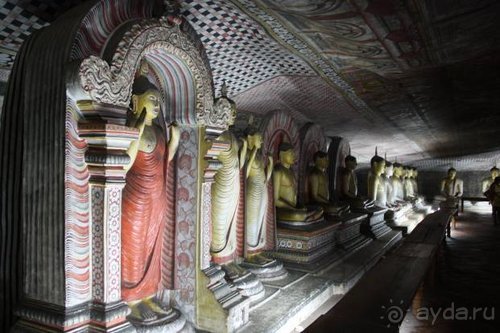 Горловка — Шри-Ланка