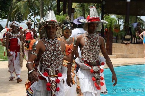 Горловка — Шри-Ланка