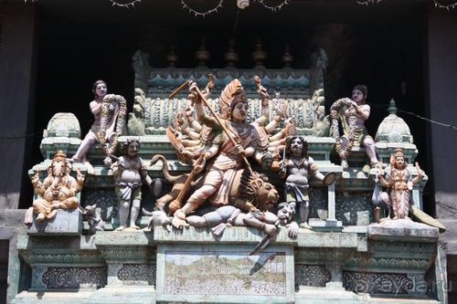 Горловка — Шри-Ланка