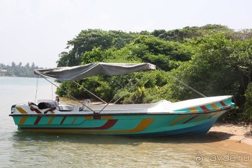 Горловка — Шри-Ланка