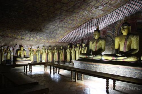 Горловка — Шри-Ланка