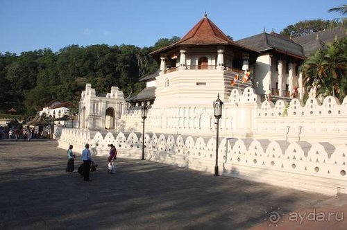 Горловка — Шри-Ланка