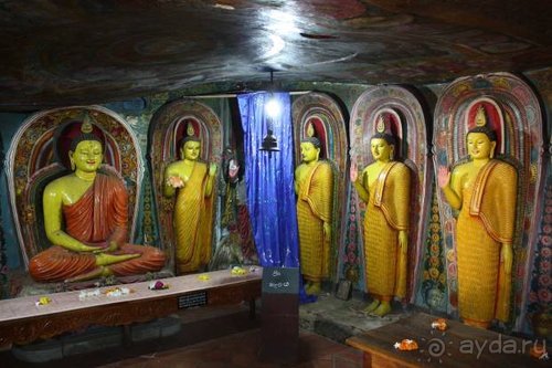 Горловка — Шри-Ланка