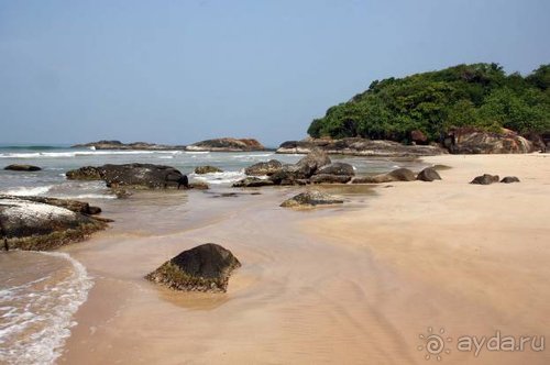 Горловка — Шри-Ланка