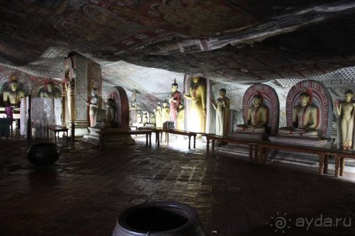 Горловка — Шри-Ланка