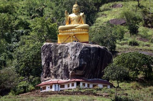 Горловка — Шри-Ланка
