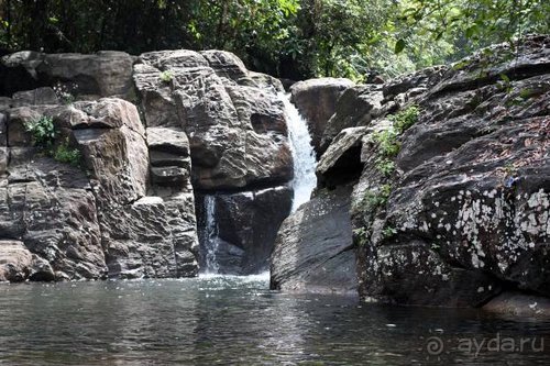 Горловка — Шри-Ланка