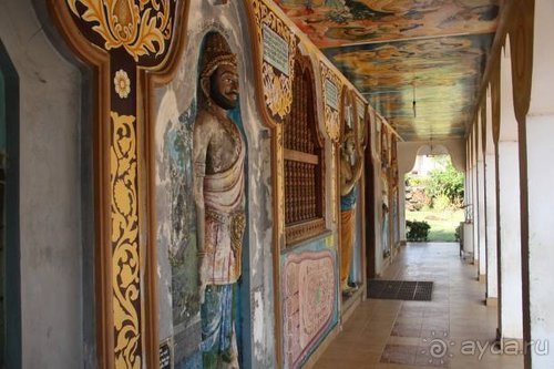 Горловка — Шри-Ланка