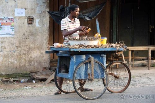 Горловка — Шри-Ланка