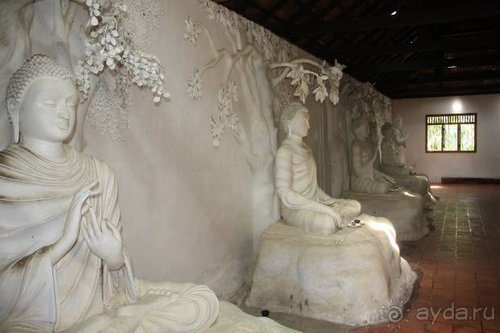 Горловка — Шри-Ланка