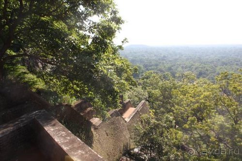 Горловка — Шри-Ланка