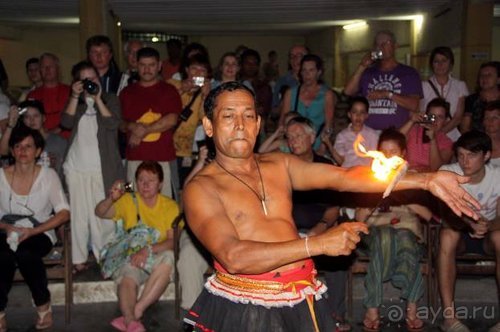 Горловка — Шри-Ланка