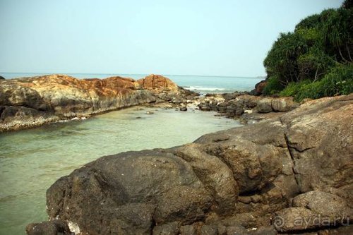 Горловка — Шри-Ланка