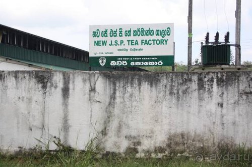 Горловка — Шри-Ланка