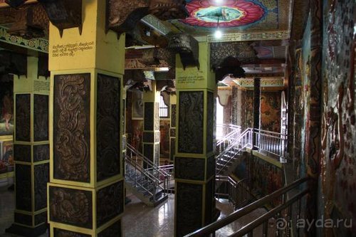 Горловка — Шри-Ланка