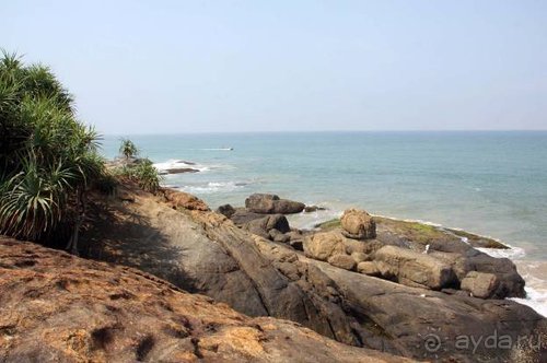 Горловка — Шри-Ланка