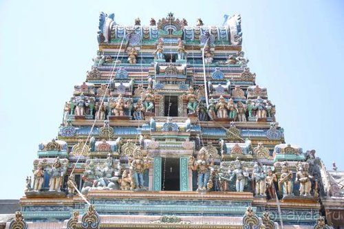 Горловка — Шри-Ланка