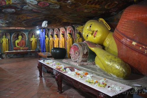 Горловка — Шри-Ланка