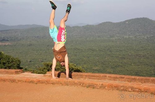 Горловка — Шри-Ланка