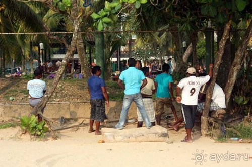 Горловка — Шри-Ланка