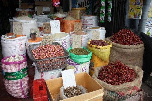 Горловка — Шри-Ланка