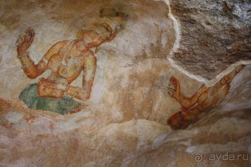 Горловка — Шри-Ланка