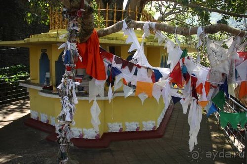 Горловка — Шри-Ланка