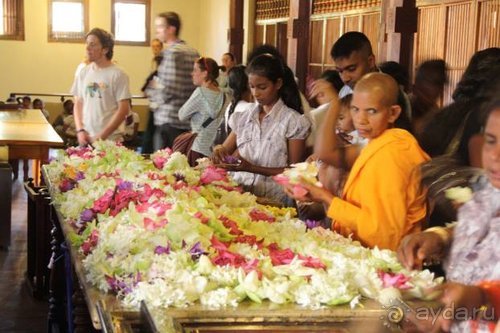 Горловка — Шри-Ланка