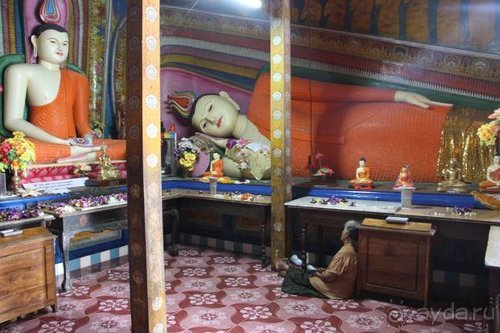 Горловка — Шри-Ланка