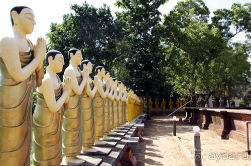 Горловка — Шри-Ланка