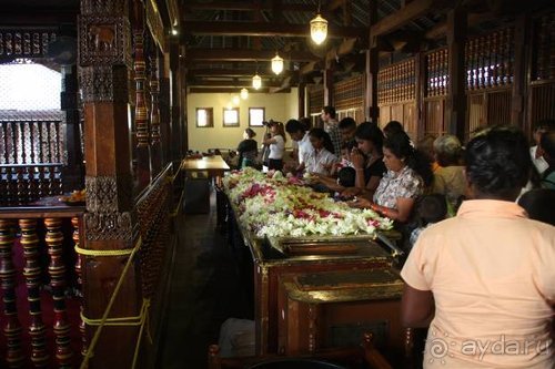 Горловка — Шри-Ланка