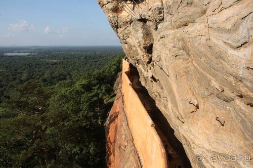 Горловка — Шри-Ланка