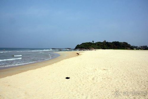 Горловка — Шри-Ланка