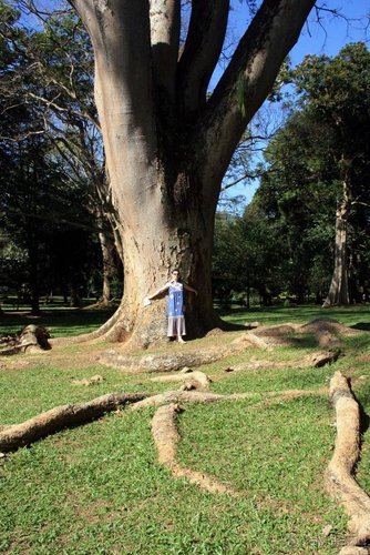 Горловка — Шри-Ланка
