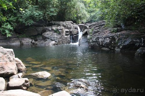 Горловка — Шри-Ланка