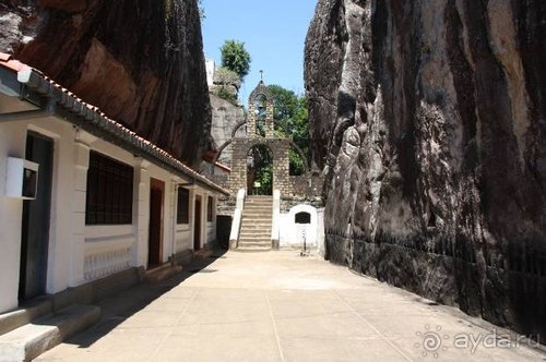 Горловка — Шри-Ланка