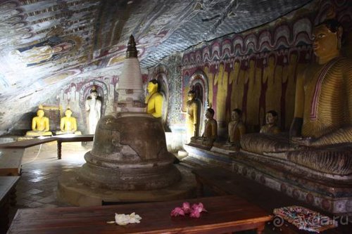 Горловка — Шри-Ланка